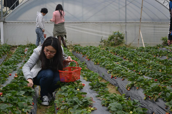 ga黄金甲集团举办三月员工生日活动