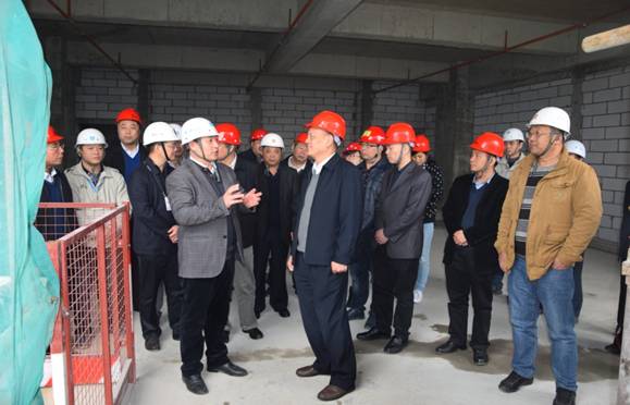 广东省政协领导到ga黄金甲城项目专题调研